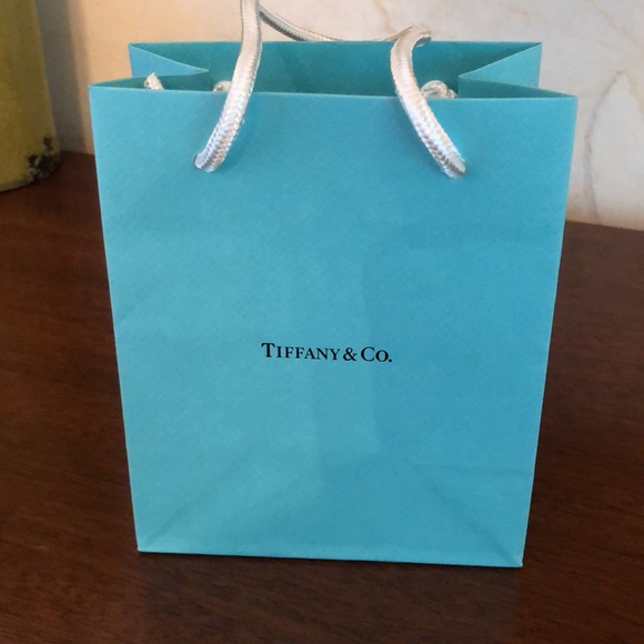 Tiffany & Co. Small Paper Shopping  Bags AND gift note and envelope - Picture 8 of 16